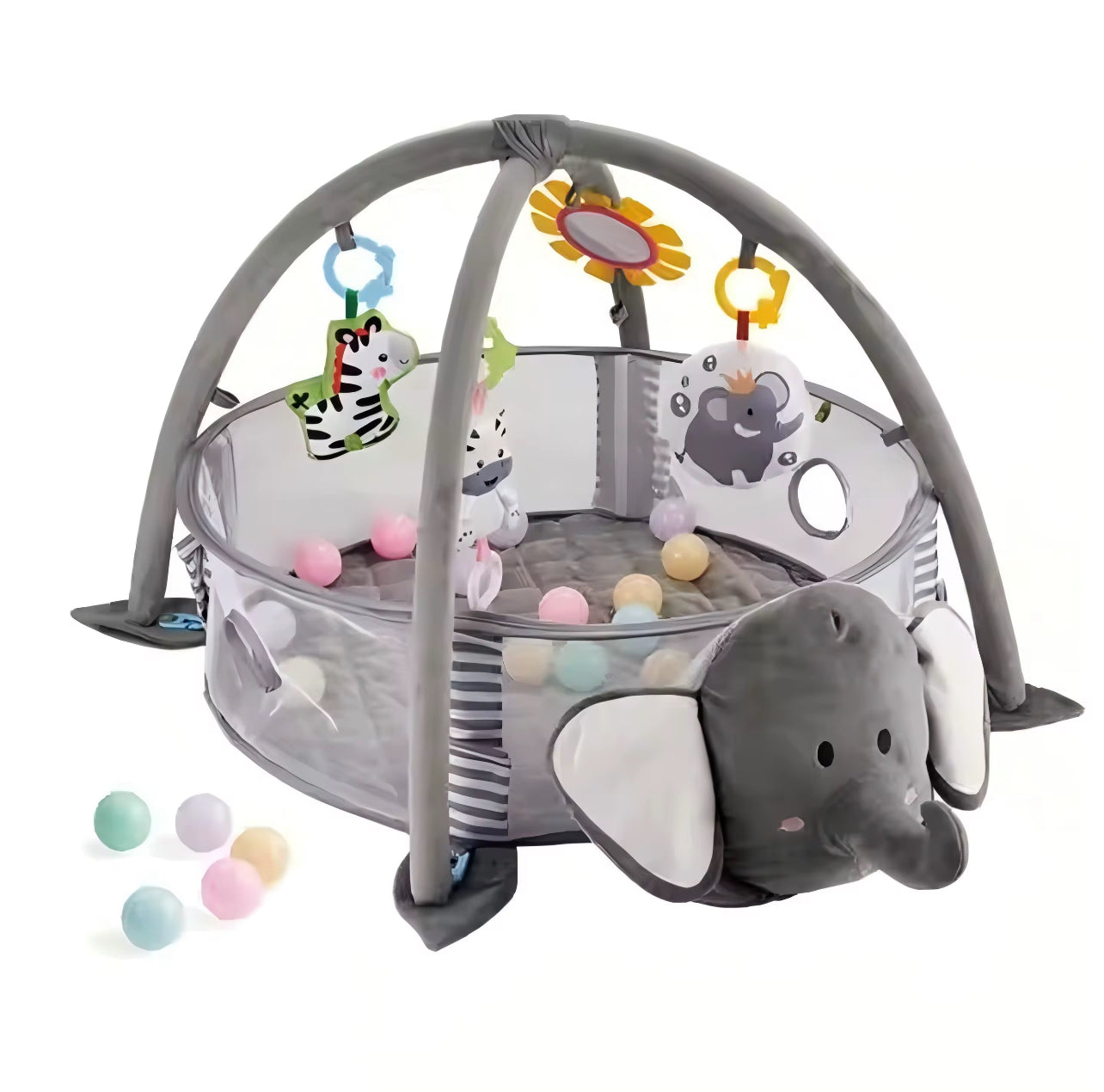 Activity Gym & Ball Pit