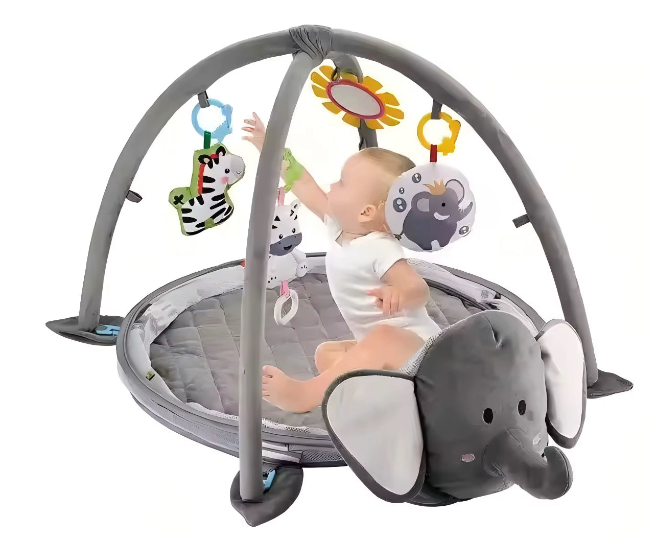 Activity Gym & Ball Pit